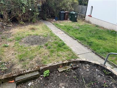 Picture 11